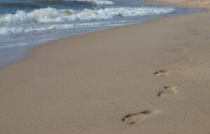 Footprints on a sandy beach
